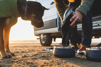 Ruffwear Kibble Kaddie™ Dog Food Carrier